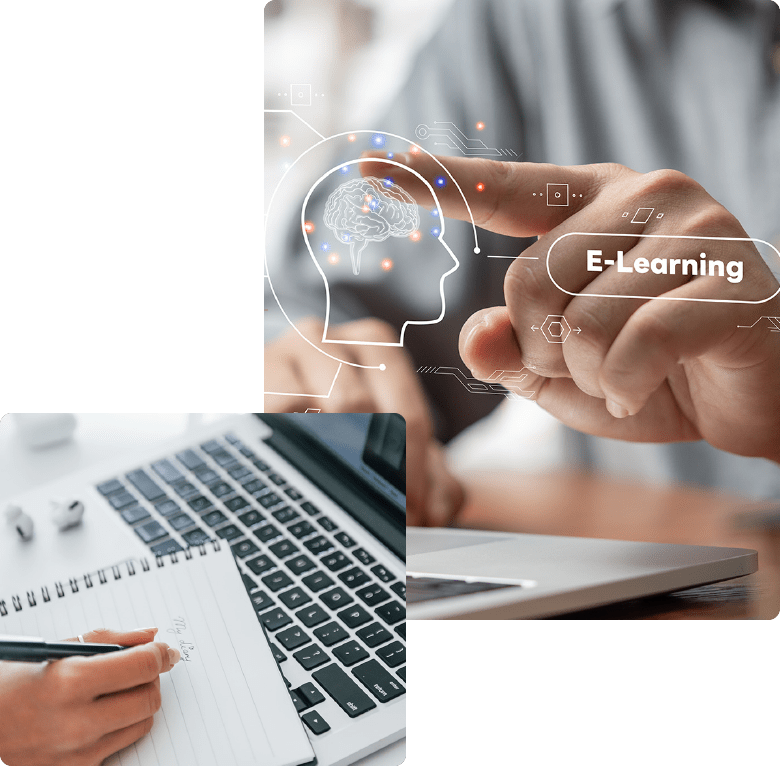 professional translation services